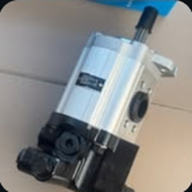 Hydraulic pump CAT