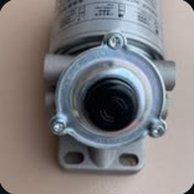 Fuel filter and primer pump